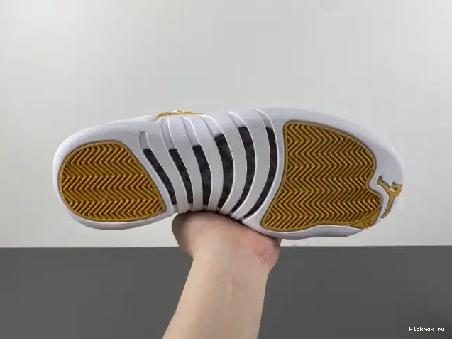 Rep MAX Phantom FD9101-007 Air WMNS Jordan 12 0521